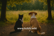 رمزية الحيوانات في الأحلام