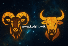 توافق برج الحمل مع الثور