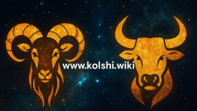 توافق برج الحمل مع الثور