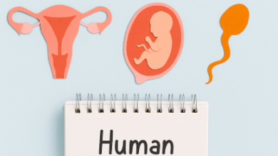 أسئلة امتحانات السنوات السابقة على درس التكاثر في الإنسان
