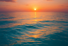 البحر الهادئ في الحلم